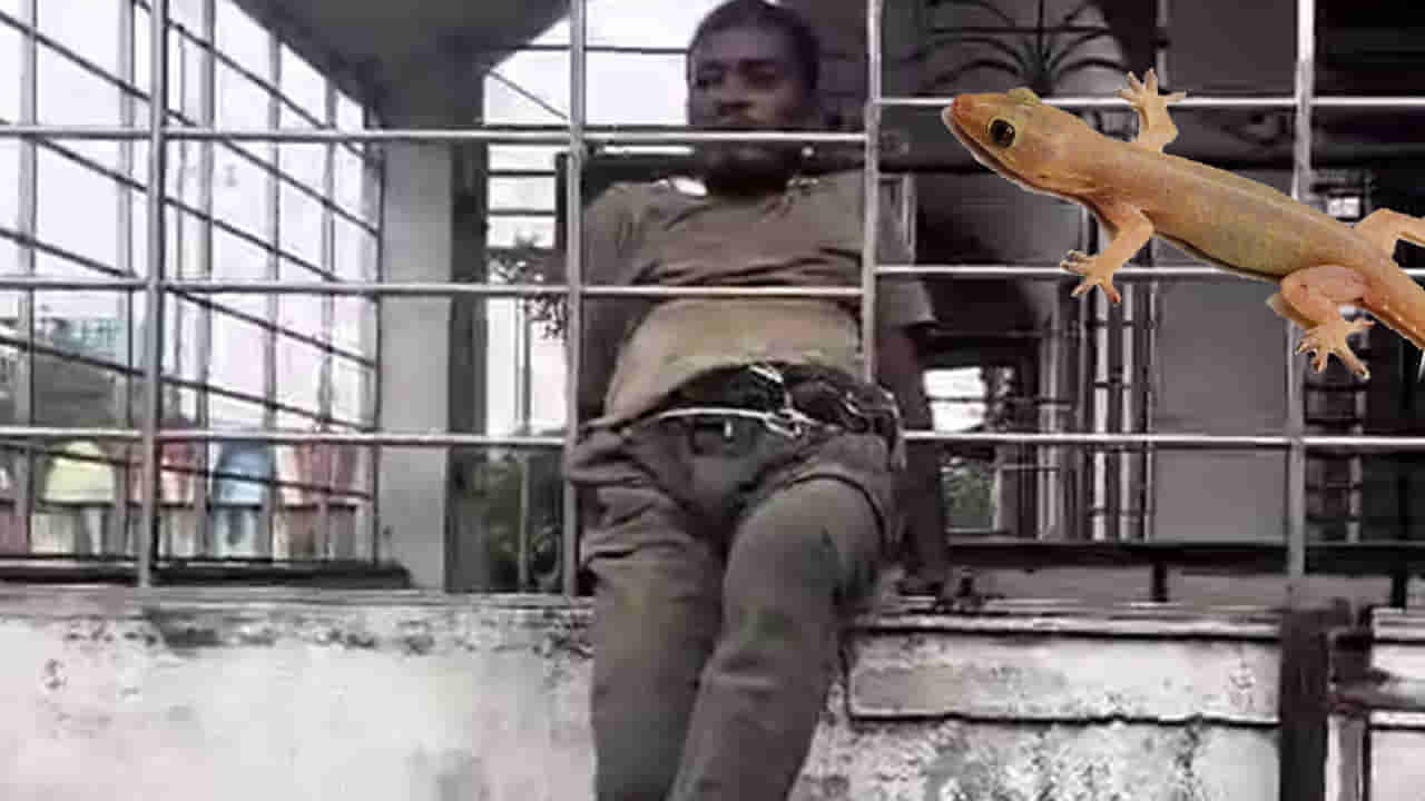 దొంగతనానికి వెళ్లి.. బొక్కబోర్లా పడ్డాడు! గ్రిల్స్లో ఇరుక్కుని నానా తంటాలు!