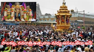 ఈ ఏడాది తిరుమల శ్రీవారికి రెండుసార్లు బ్రహ్మోత్సవాలు.. సాలకట్ల, నవరాత్రి ఉత్సవాల ప్రత్యేకత ఇదే
