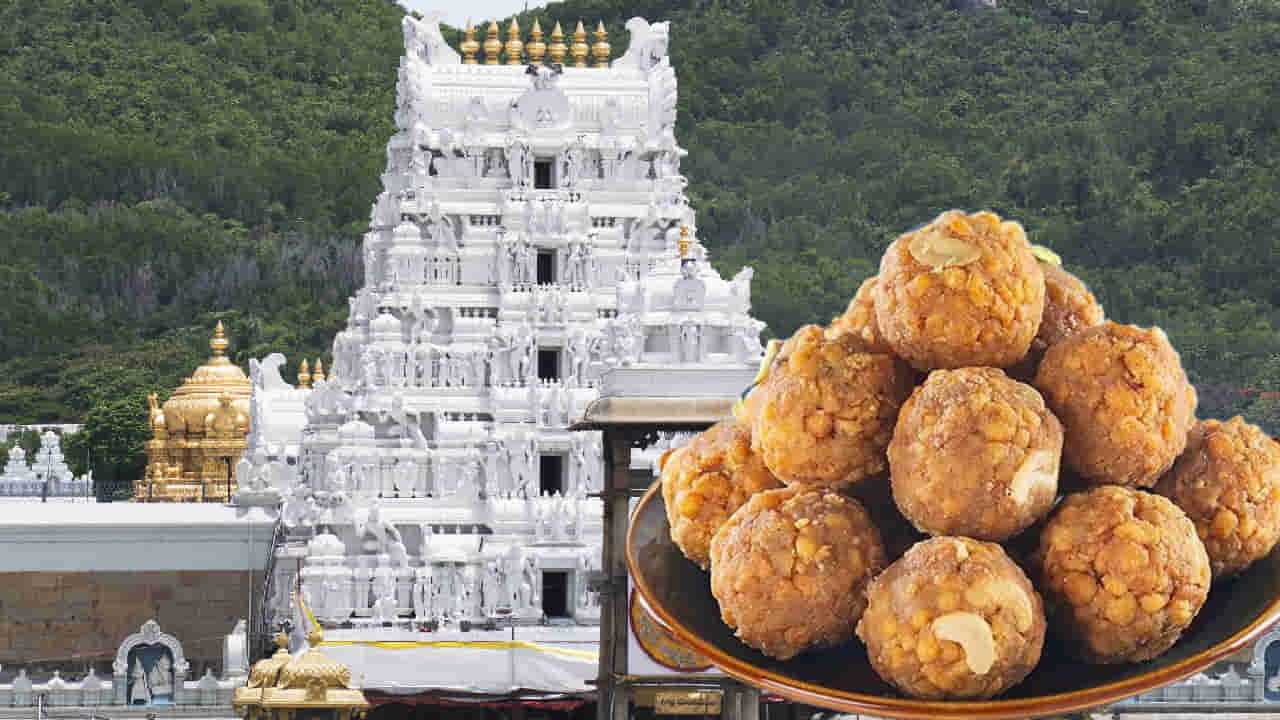 లడ్డూ పవిత్రతకు.. వైరల్ కల్చర్ ఎసరు?