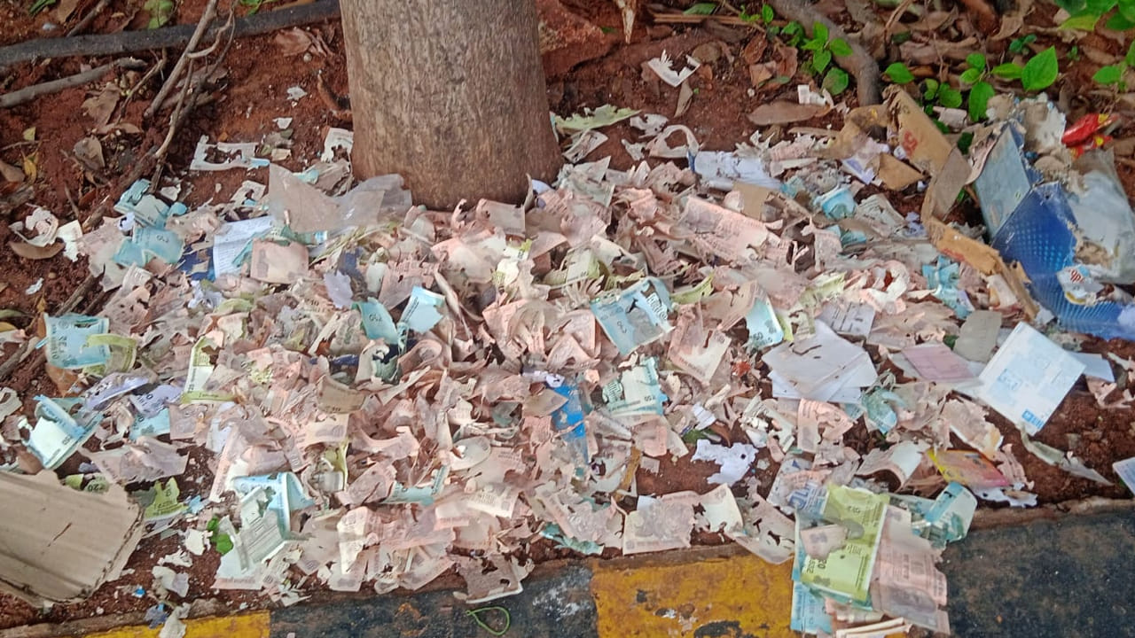 Andhra Pradesh: చెట్టు కింద గుట్టలుగా నోట్లు.. అసలు నిజం తెలిస్తే నోరెళ్లబెట్టాల్సిందే..