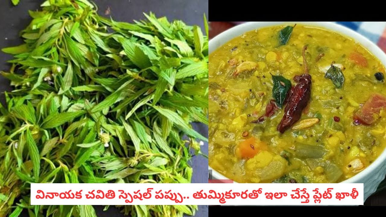 Thummikura Pappu Recipe: తుమ్మికూరతో ఇంత టేస్టీ పప్పు చేయొచ్చా? వినాయక చవితికి తప్పక ట్రై చేయండి!