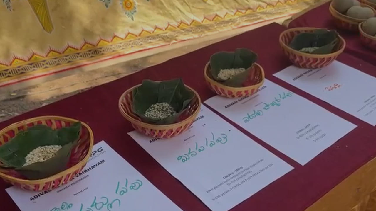 అయితే చిరుధాన్యాలను ఏదైనా వ్యాధికి ప్రత్యక్ష ‘ఔషధం’గా భావించడం కంటే.. పప్పులు, కూరగాయలు, ఆకుకూరలు, పండ్లు, ఇతర సంపూర్ణ ధాన్యాలతో కలిపి సమతుల్య ఆహారంలో భాగంగా తీసుకోవడం ముఖ్యమని పోషకాహార మార్గదర్శకాలు సూచిస్తున్నాయి. అడవుల్లో తరతరాలుగా కాపాడుకుంటూ వచ్చిన ఆహార జ్ఞానం.. ఇప్పుడు ఆధునిక ప్రపంచానికి మరోసారి పాఠం చెబుతోంది. ప్రకృతితో కలిసి పండిన పంట.. సంప్రదాయంతో తయారైన వంటకం.. ఆరోగ్యాన్ని కాపాడే ఆహార సంస్కృతి.. అదే ‘ఆదివాసీ ఆహార వైభవం’.
రాగులు: కాల్షియం మంచి వనరు, సజ్జలు: ఇనుము, ప్రోటీన్ వంటి పోషకాల వనరు, కొర్రలు: ఆహార పీచు అధికంగా ఉండే చిన్న చిరుధాన్యం. సామలు: ఫైబర్, ఖనిజాలను అందించే సంప్రదాయ ధాన్యం, ఊదలు: ప్రోటీన్, ఫైబర్ వంటి పోషకాలు కలిగి ఉంటాయి.
అరికెలు/కొడో మిల్లెట్: సంప్రదాయంగా వినియోగించే చిన్న చిరుధాన్యాల్లో ఒకటి, జొన్నలు: సంపూర్ణ ధాన్యంగా తీసుకున్నప్పుడు ఫైబర్, ఖనిజాలు అందిస్తాయి.
