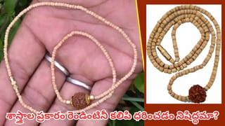 Tulasi Rudraksha: తులసి మాల, రుద్రాక్షను కలిపి ధరించవచ్చా? ఈ నియమాలు తెలుసుకోండి!