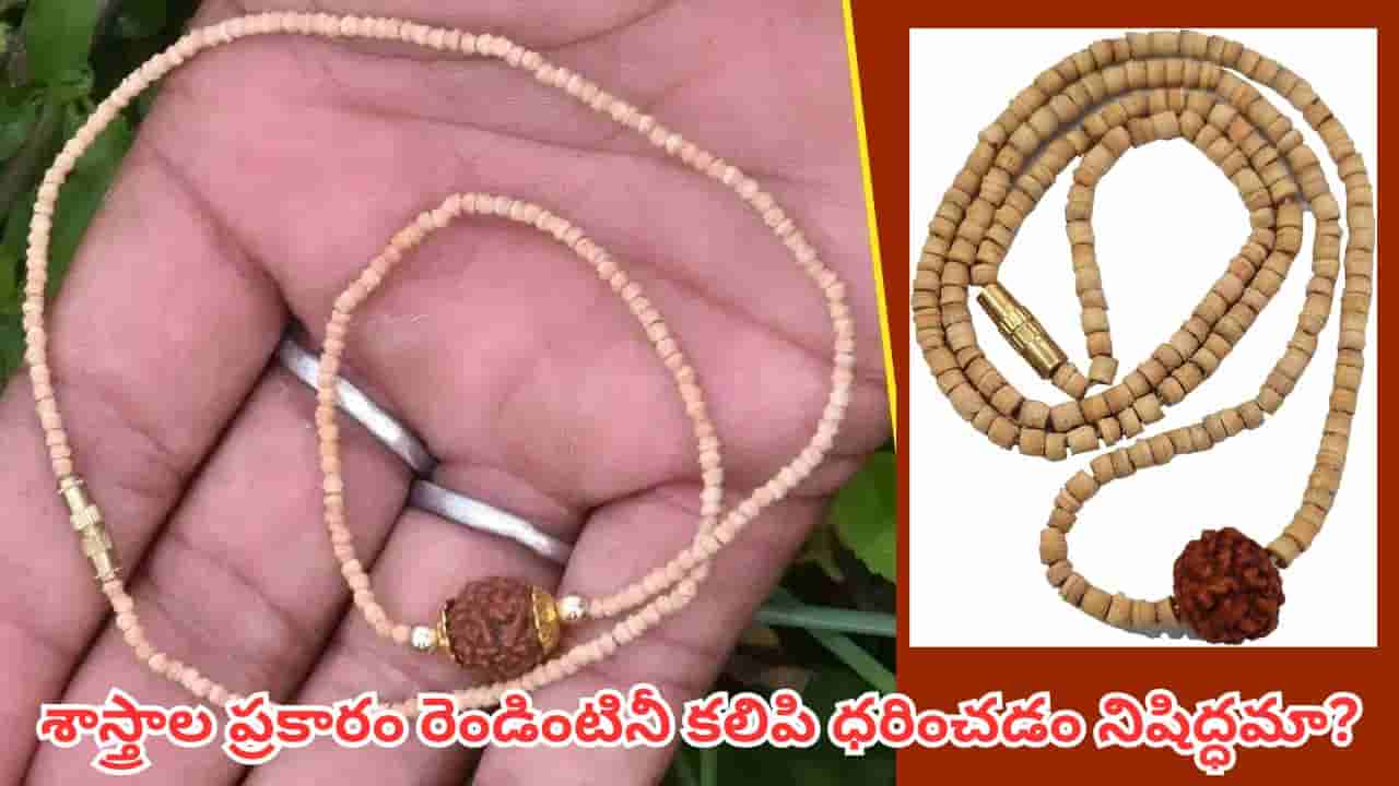 Tulasi Rudraksha: తులసి మాల, రుద్రాక్షను కలిపి ధరించవచ్చా? ఈ నియమాలు తెలుసుకోండి!