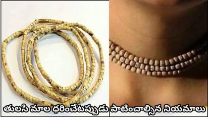 తులసి మాల ధరించి ఉల్లిపాయ, వెల్లుల్లి తినవచ్చా? ఈ నియమాలు తప్పక..
