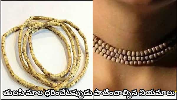 Tulsi Mala: తులసి మాల ధరించి ఉల్లిపాయ, వెల్లుల్లి తినవచ్చా? ఈ నియమాలు తప్పక తెలుసుకోండి!