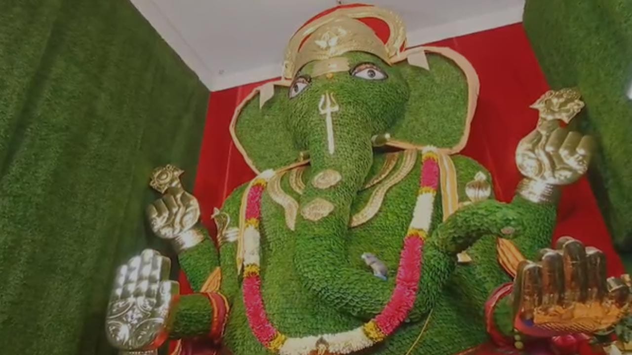 కాకినాడ జిల్లాలో వినాయక చవితి వేడుకలు వినూత్న సృజనాత్మకతకు వేదికగా నిలిచాయి. నగరంలోని ఉల్లింకల వారి వీధిలో భక్తుడు టేకుమూడి పెదబాబు సుమారు 200 కేజీల డ్రై కివీ పండ్లతో ప్రత్యేక వినాయక విగ్రహాన్ని ప్రతిష్టించగా, జమ్మిచెట్టు సెంటర్‌లో ఏకంగా 500 కేజీల జీడిపప్పుతో రూపొందించిన గణపతి విగ్రహం భక్తులను విశేషంగా ఆకట్టుకుంటోంది. 