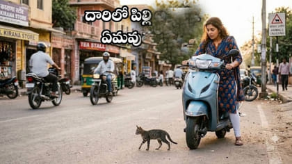 పిల్లి ఎదురొస్తే ఆగాలా? మూఢనమ్మకమా.. వెనుక ఉన్న శాస్త్రీయ కారణమా?