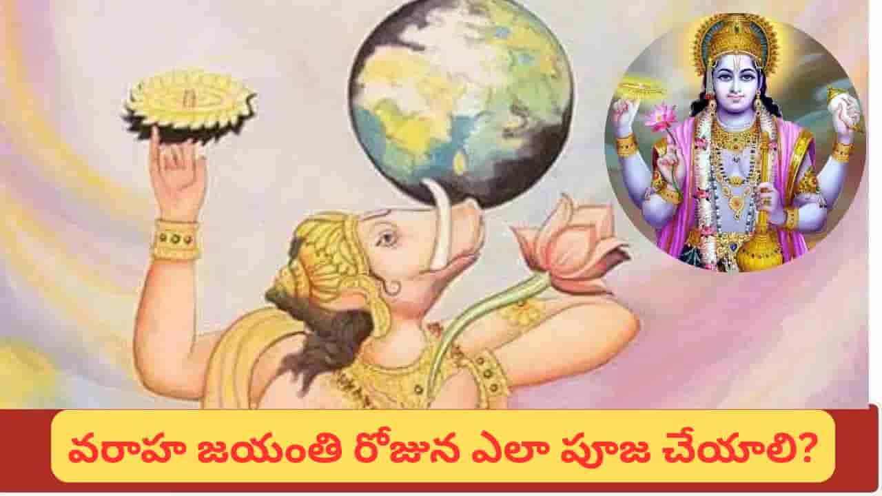 Varaha Jayanti: వరాహ జయంతి సెప్టెంబర్ 13నా.. 14నా? తేదీ, శుభ సమయం, పూజా విధానం ఇదే!