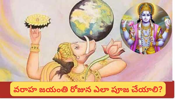 Varaha Jayanti: వరాహ జయంతి సెప్టెంబర్ 13నా.. 14నా? తేదీ, శుభ సమయం, పూజా విధానం ఇదే!