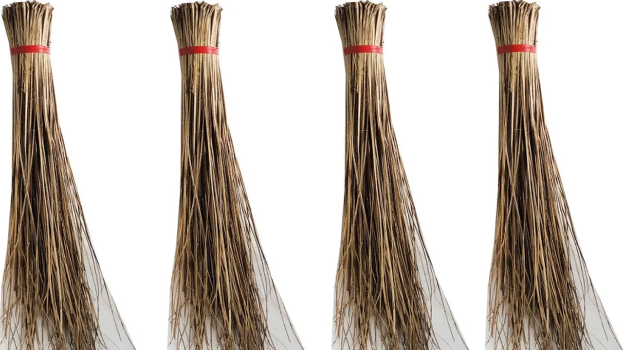 నోట్ : ఈ వార్తలలో ఇవ్వబడిన సమాచారం మత విశ్వాసాలపై ఆధారపడి ఉంది. పాఠకుల ఆసక్తి మేరకు.. పలువురు పండితుల సూచనలు, వారి తెలిపిన అంశాల ఆధారంగా అందించినవి మాత్రమే.. వీటిలో ఎలాంటి శాస్త్రీయ ఆధారాలు లేవని పాఠకులు గమనించాలి. టీవీ9 తెలుగు దీనిని ధృవీకరించలేదు
