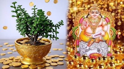 కుబేరుడికి ఇష్టమైన మొక్క ఇదే.. ఇంట్లో ఉంటే కనక వర్షమే