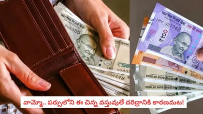 వామ్మో.. పర్సులోని ఈ చిన్న వస్తువులే దరిద్రానికి కారణమట!