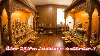 Vastu Tips: పూజా మందిరంలో ఈ తప్పులు చేస్తున్నారా? ఇంట్లో నెగెటివ్ ఎనర్జీ పెరుగుతుందట!