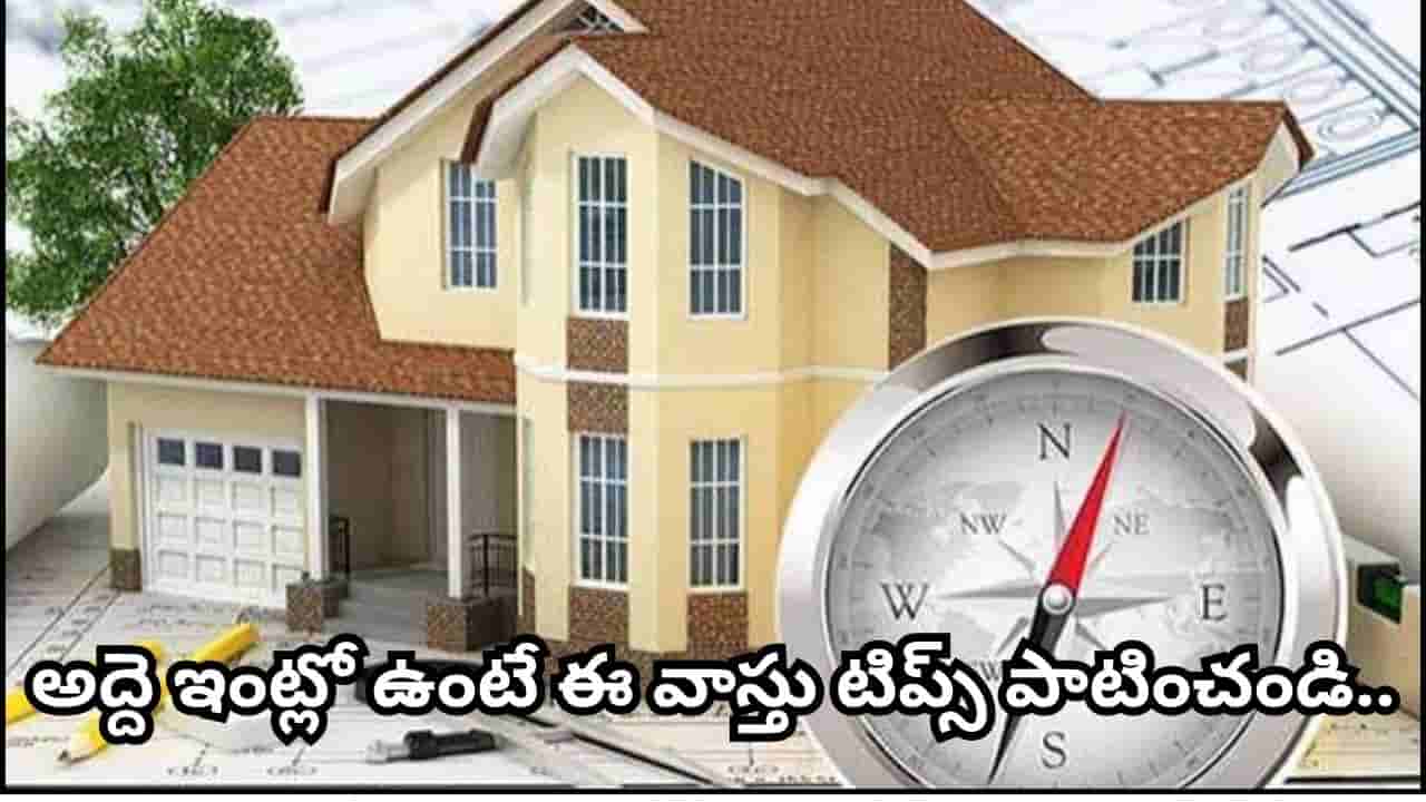 Vastu Tips: అద్దె ఇంట్లో వాస్తు దోషం ఉందా? ఈ సింపుల్ చిట్కాలతో పాజిటివ్ ఎనర్జీ పెరుగుతుందట!