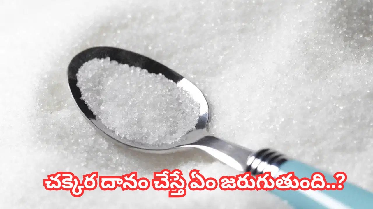 Vastu Tips: ఇంట్లో చక్కెరను ఇలా పెడుతున్నారా..? ఈ తప్పులు చేస్తే ఆర్థిక సమస్యలు వస్తాయట!