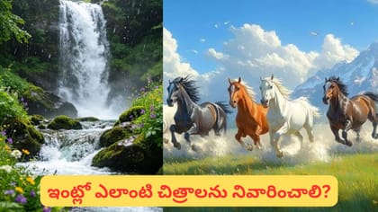 ఇంట్లో ఈ చిత్రాలు పెడితే డబ్బు, అదృష్టం పెరుగుతాయట.. ఏ దిశలో పెట్