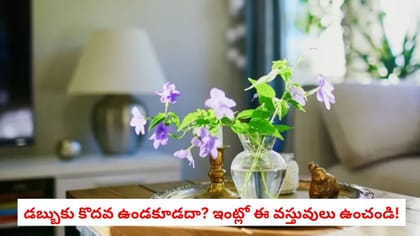 డబ్బుకు కొదవ ఉండకూడదా? ఇంట్లో ఈ వస్తువులు ఉంచండి!