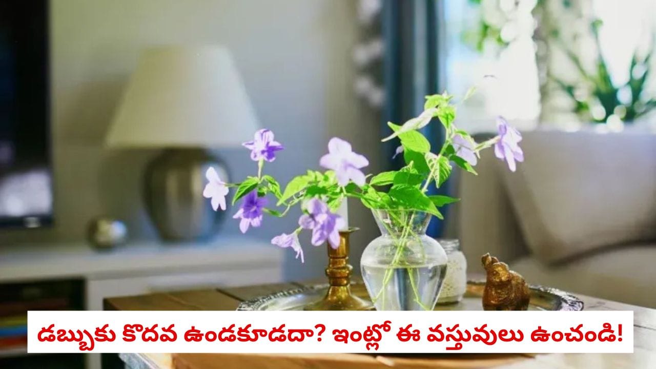 Vastu Tips : ఈ వస్తువులకు డబ్బును ఆకర్షించే ప్రత్యేక శక్తి.. ఇంట్లో ఎక్కడ ఉంచాలో తెలుసుకోండి!