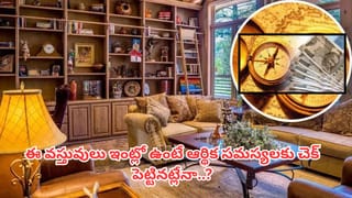 Vastu Tips: ఇంట్లో సిరిసంపదల కోసం ఈ 5 వస్తువులు ఉండాలంట! అవేంటో తెలుసా?