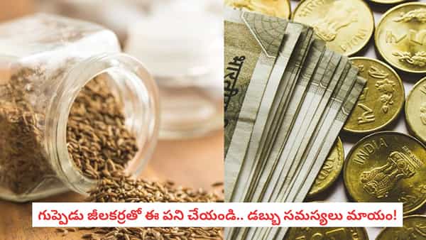 Vastu Tips: అప్పులు ఎన్ని ఉన్నా భయపడకండి.. జీలకర్రతో ఈ పరిహారం చేయండి!