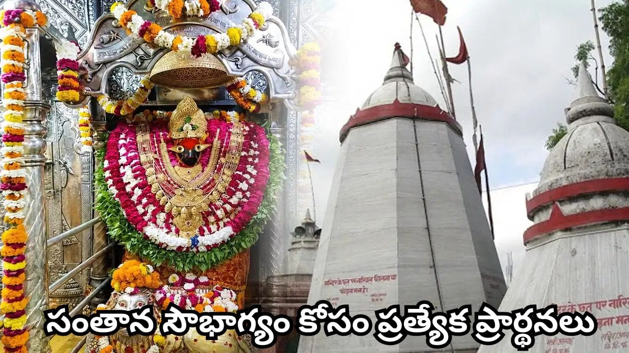 కొత్తగా పెళ్లైన జంటలు వింధ్యవాసిని అమ్మవారి దర్శనం ఎందుకు చేయాలి? ఈ క్షేత్రం ప్రత్యేకత ఇదే!