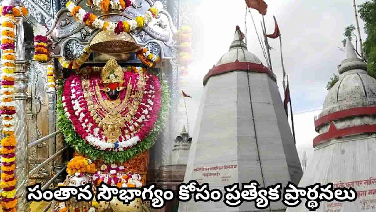 కొత్తగా పెళ్లైన జంటలు వింధ్యవాసిని అమ్మవారి దర్శనం ఎందుకు చేయాలి? ఈ క్షేత్రం ప్రత్యేకత ఇదే!