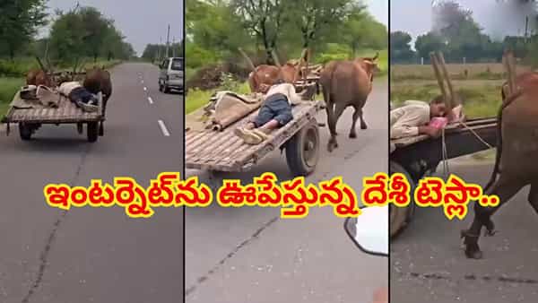Viral Video: ఇంటర్నెట్ను ఊపేస్తున్న దేశీ టెస్లా.. డ్రైవర్ నిద్రపోయినా కారు ఆగేది లేదు..! వీడియో చూస్తే షాక్ అవ్వాల్సిందే