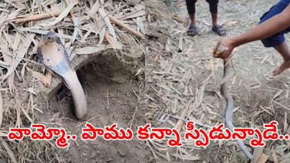 మెరుపు వేగంతో పాటును పట్టుకున్నాడు.. కట్‌చేస్తే..