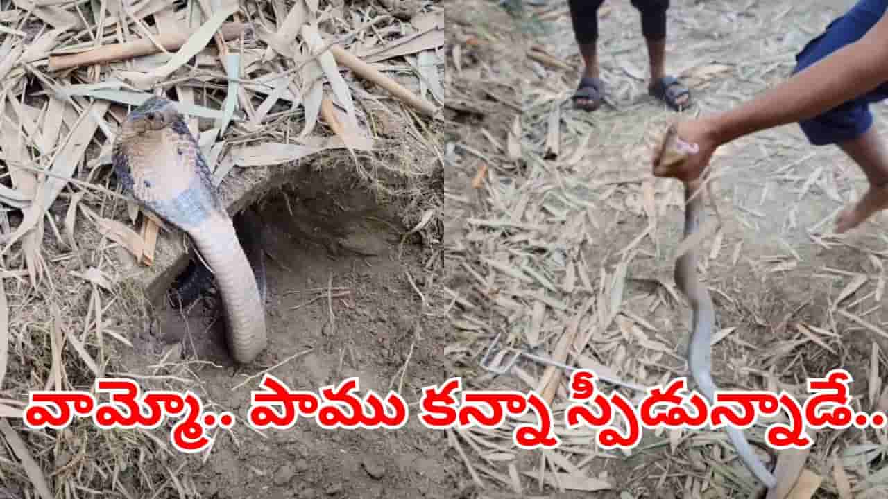 Viral Video: ఎవరు బ్రో నువ్వు ఇంత స్పీడున్నావ్.. మెరుపు వేగంతో పాటును పట్టుకున్నాడు.. కట్చేస్తే..