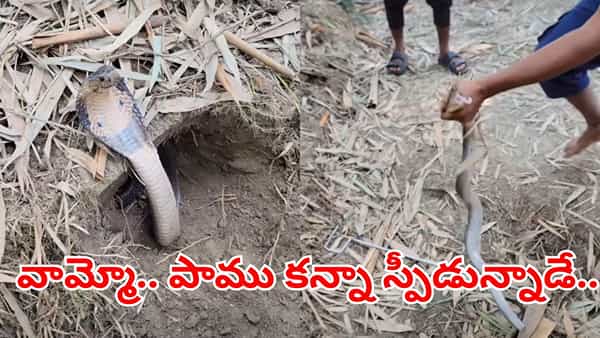 Viral Video: ఎవరు బ్రో నువ్వు ఇంత స్పీడున్నావ్.. మెరుపు వేగంతో పాటును పట్టుకున్నాడు.. కట్చేస్తే..