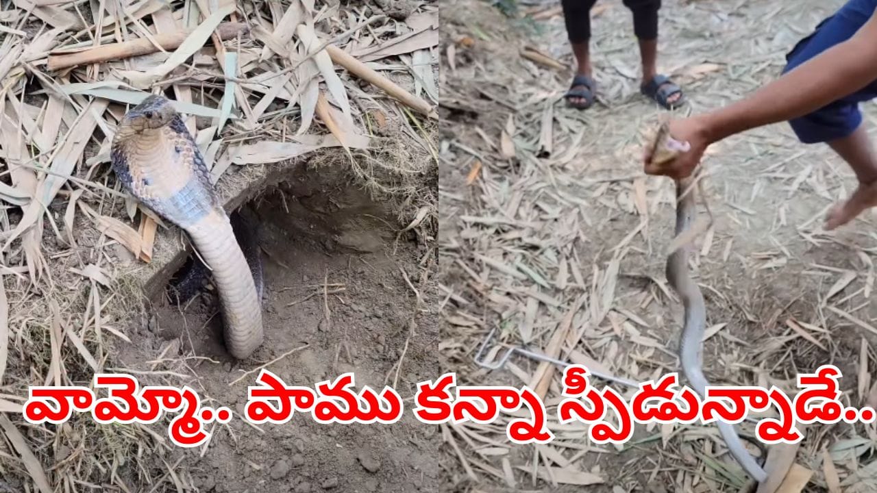 Viral Video: ఎవరు బ్రో నువ్వు ఇంత స్పీడున్నావ్.. మెరుపు వేగంతో పాటును పట్టుకున్నాడు.. కట్చేస్తే..