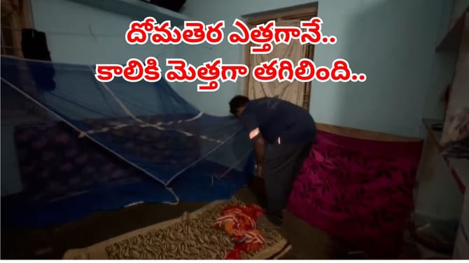 పడుకుందామని దోమ తెరపట్టుకుంటే.. కాలికి మెత్తగా తగిలింది.. వామ్మో