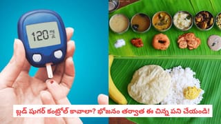Blood Sugar Control: షుగర్ ఉన్నవారు భోజనం తర్వాత ఈ చిన్న పని చేస్తే చాలు.. బ్లడ్ షుగర్ కంట్రోల్!