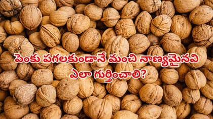 వాల్ నట్స్ కొంటున్నారా?పెంకు పగలకుండానే నాణ్యమైనవి గుర్తించండిలా?