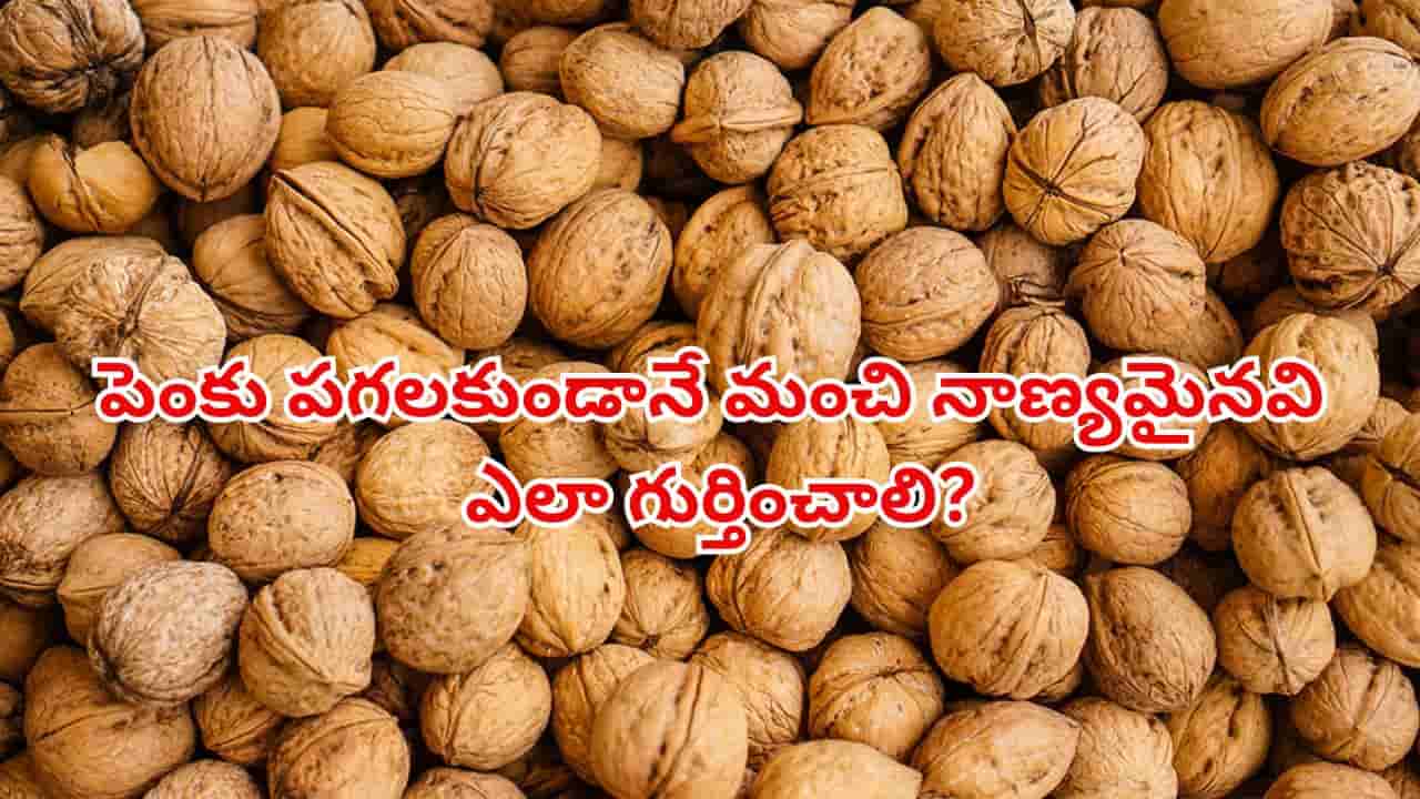 వాల్ నట్స్ కొంటున్నారా? పెంకు పగలకుండానే మంచి నాణ్యమైనవి ఎలా గుర్తించాలో తెలుసుకోండి!