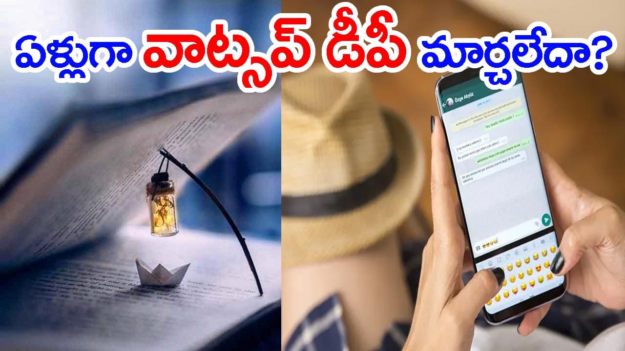 WhatsApp DP మార్చని వాళ్ల Psychology ఎలాంటిదో తెలుసా..? దీని వెనుక అసలు సీక్రెట్ ఇదే