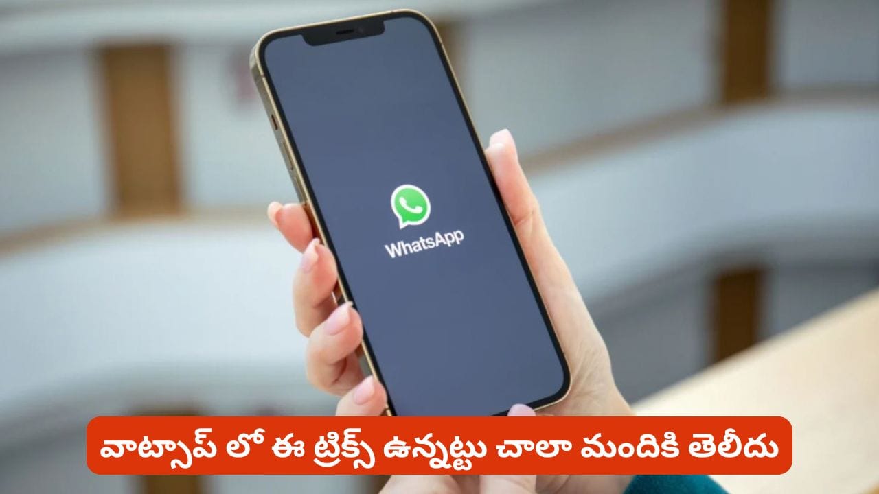 WhatsApp Tricks: ఆన్లైన్లో ఉన్నట్లు కనిపించకుండా చాట్స్ చదవండి.. ఈ సెట్టింగ్స్ ట్రై చేయండి