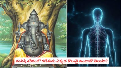 మనిషి శరీరంలో గణేశుడు ఎక్కడ కొలువై ఉంటాడో తెలుసా?