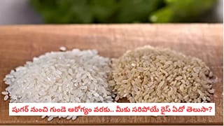 Best Rice for Diabetes: రోజూ అన్నం తింటున్నారా? మధుమేహం, గుండె ఆరోగ్యానికి ఏ రకం బియ్యం మంచిదో తెలుసా?