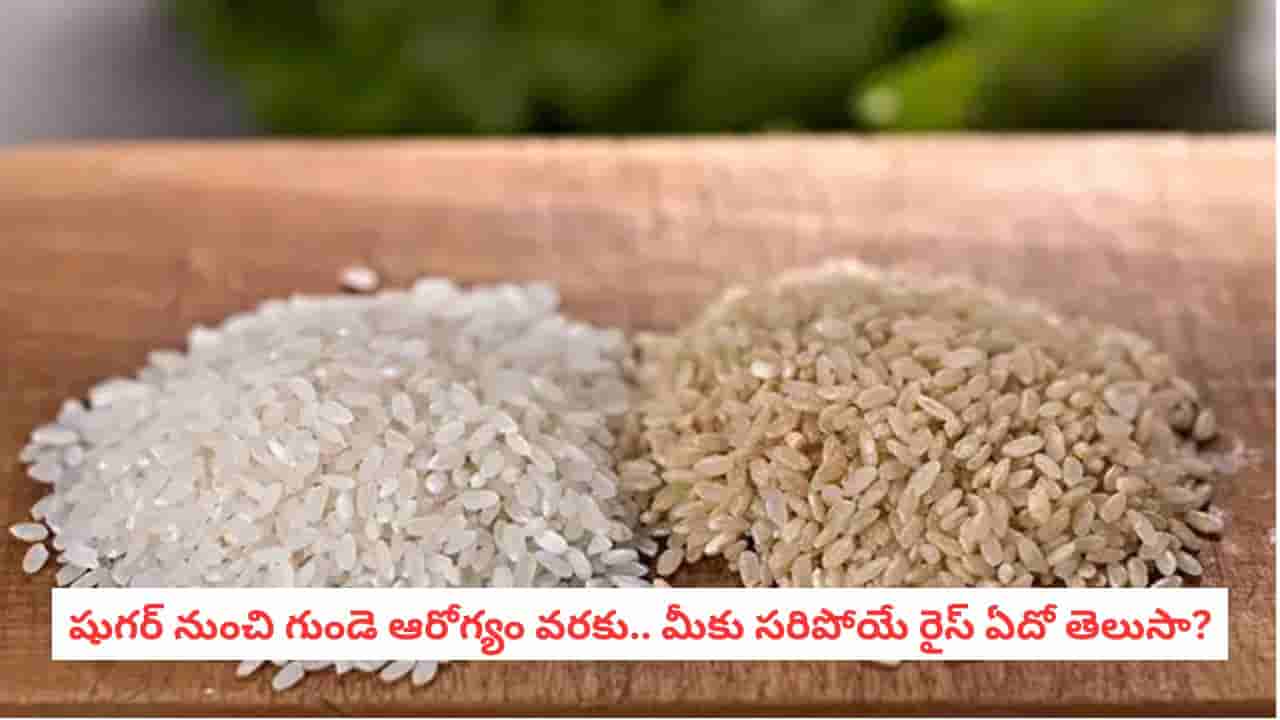 Best Rice for Diabetes: రోజూ అన్నం తింటున్నారా? మధుమేహం, గుండె ఆరోగ్యానికి ఏ రకం బియ్యం మంచిదో తెలుసా?