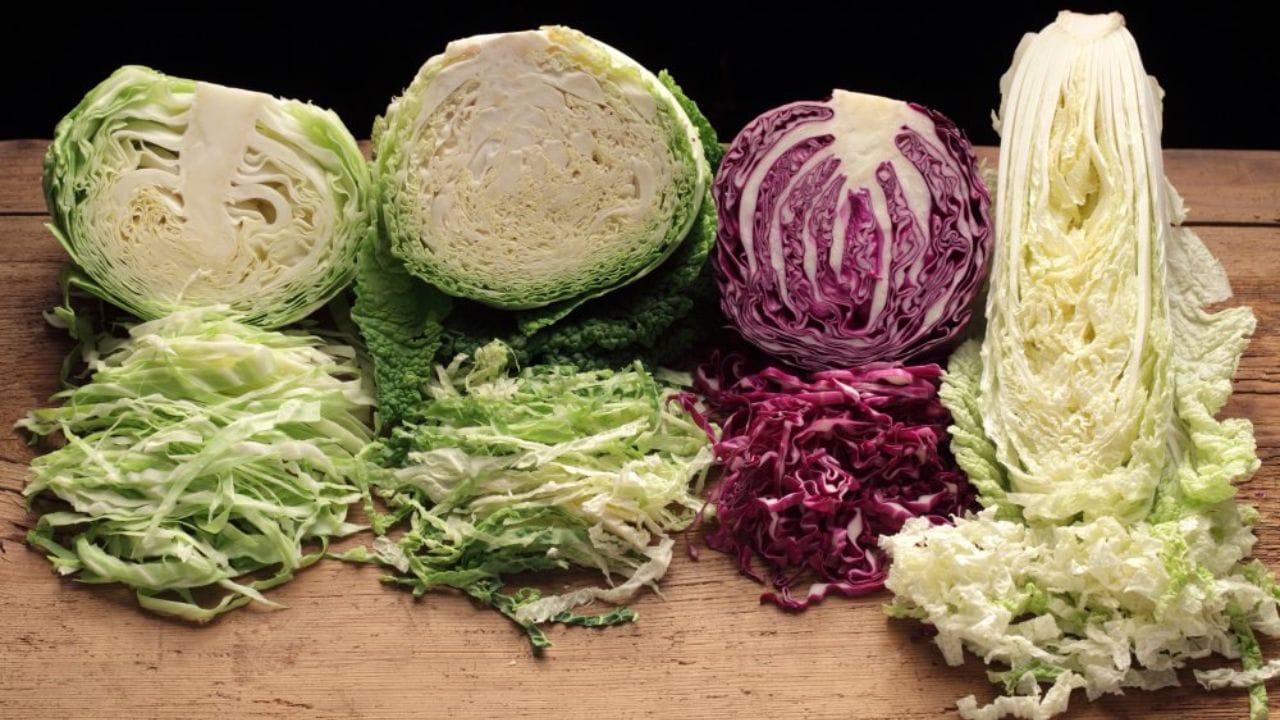 అందుకే White Cabbage vs Red Cabbage అనే పోలిక కంటే.. రెండింటినీ సమతుల ఆహారంలో ఎలా ఉపయోగించుకోవాలన్నదే ముఖ్యమని చెప్పొచ్చు. క్యాబేజీని ఆహారంలో చేర్చుకోవడం ద్వారా పోషక విలువను పెంచుకోవచ్చు. అయితే ఏదైనా ప్రత్యేక పోషక లోపం లేదా ఆరోగ్య సమస్య ఉంటే నిపుణుల సలహా తీసుకోవడం మంచిది.