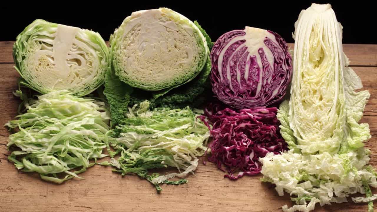 అందుకే White Cabbage vs Red Cabbage అనే పోలిక కంటే.. రెండింటినీ సమతుల ఆహారంలో ఎలా ఉపయోగించుకోవాలన్నదే ముఖ్యమని చెప్పొచ్చు. క్యాబేజీని ఆహారంలో చేర్చుకోవడం ద్వారా పోషక విలువను పెంచుకోవచ్చు. అయితే ఏదైనా ప్రత్యేక పోషక లోపం లేదా ఆరోగ్య సమస్య ఉంటే నిపుణుల సలహా తీసుకోవడం మంచిది.