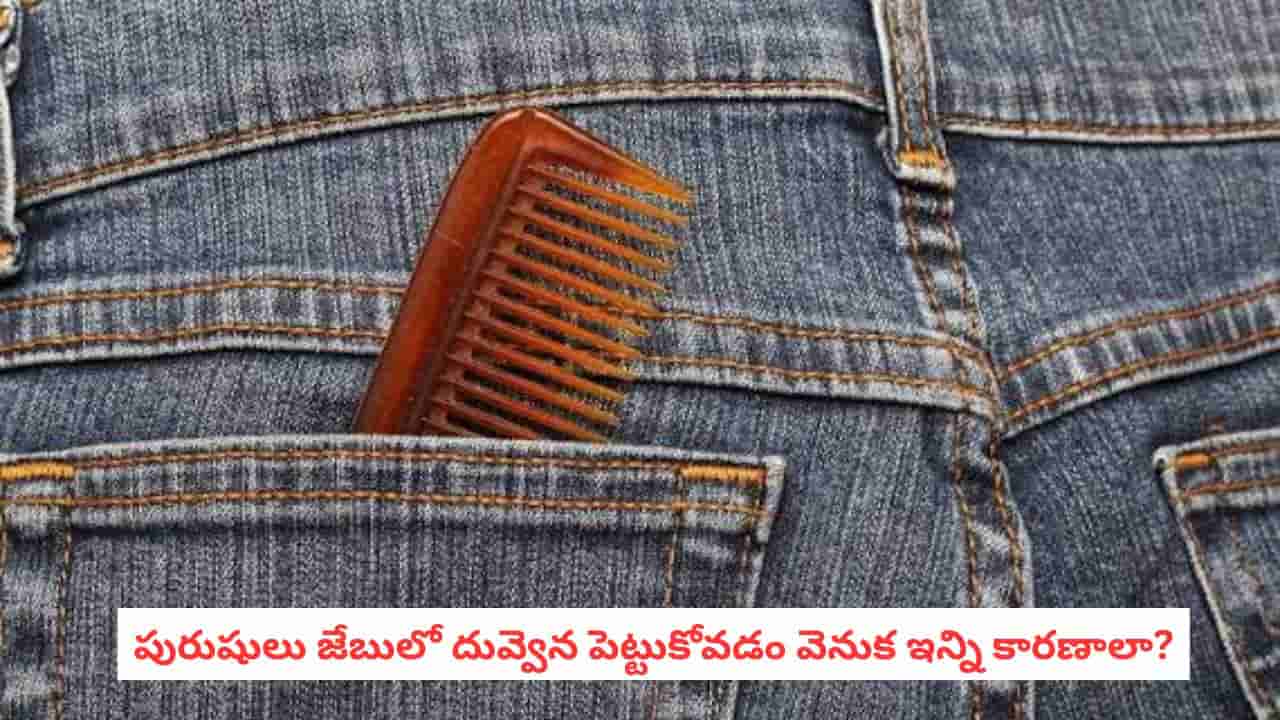 Psychology Facts: జేబులో దువ్వెన పెట్టుకుంటున్నారా? పురుషుల ఈ అలవాటు వెనుక అసలు కారణం ఇదేనట!