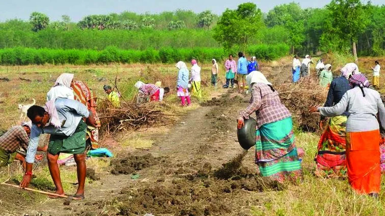 ఉపాధి హామి పనుల్లో భాగంగా తవ్వకాలు.. తళుక్కున మెరుస్తూ కనిపించాయ్.. ఏంటా అని చూడగా