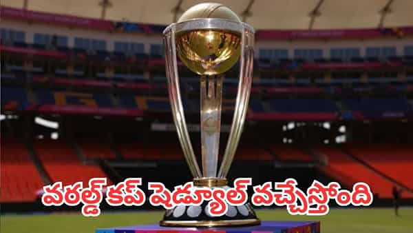 World Cup 2027: 2027 వన్డే వరల్డ్ కప్ షెడ్యూల్పై బిగ్ అప్డేట్.. ఛీ మళ్లీ అదే రోజేనా ?