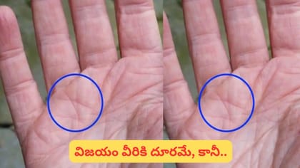 అరచేతిలో సూర్య పర్వతంపై ‘X’ గుర్తు ఉందా? కెరీర్‌పై ఎలాంటి ప్రభావం