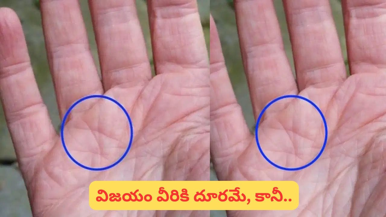 అరచేతిలో సూర్య పర్వతంపై ‘X’ గుర్తు ఉందా? కెరీర్పై ఎలాంటి ప్రభావం ఉంటుందో తెలుసా?