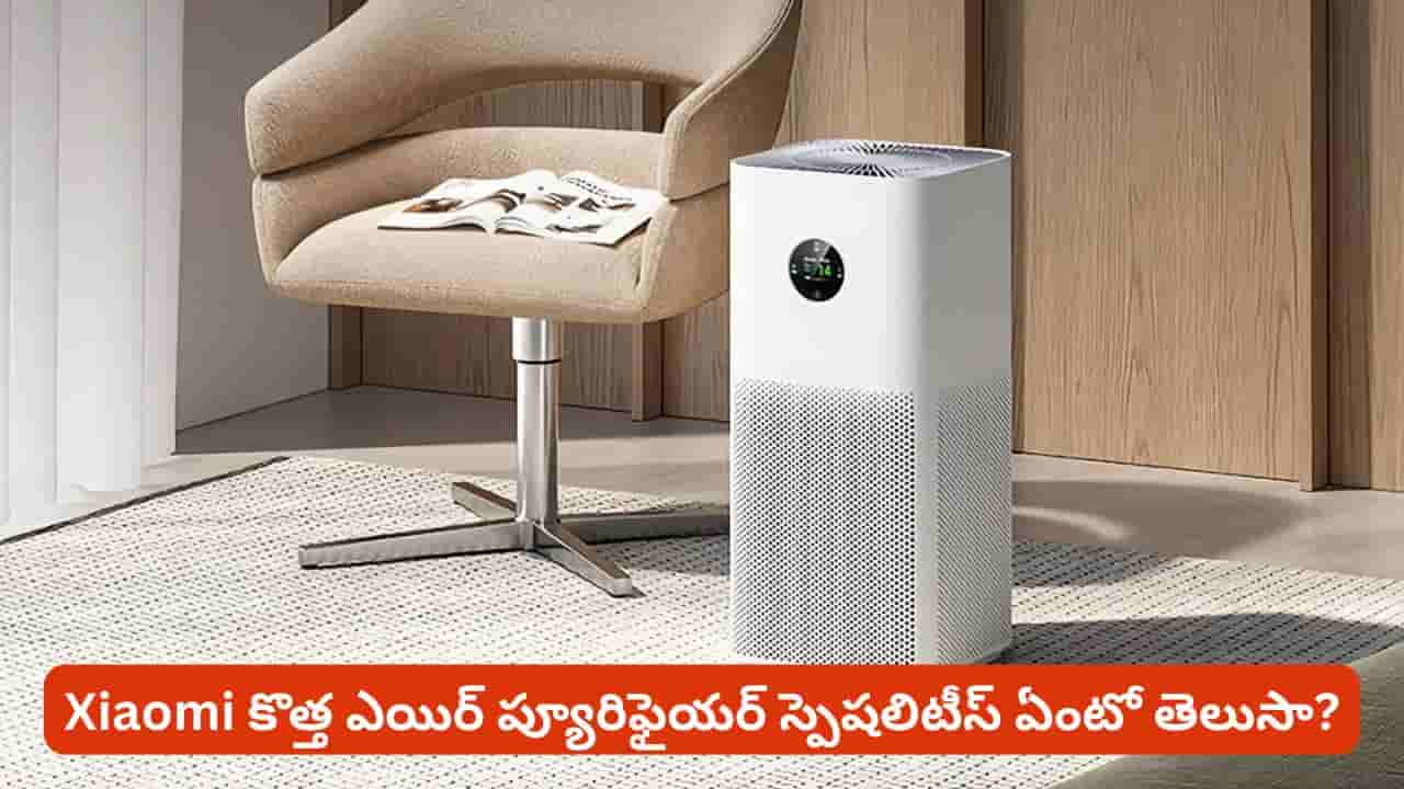 A4 పేపర్ పట్టే స్థలంలోనే ఎయిర్ ప్యూరిఫైయర్.. ధర తెలిస్తే ఎగిరి గంతేసి వెంటనే ఆర్డర్ చేస్తారు