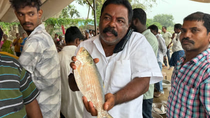 మరో పులస చిక్కింది.. జాలరి పంట పండింది..